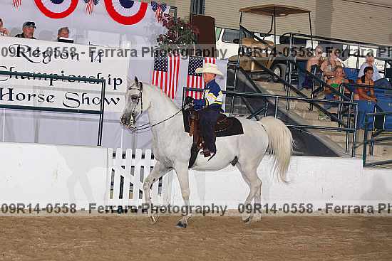 Proof 09r14-0558