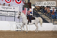 09r14-0558 proof