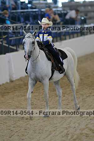 Proof 09r14-0564