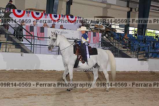 Proof 09r14-0569