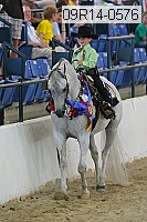 09r14-0576 proof