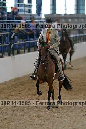 Proof 09r14-0585