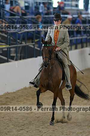 Proof 09r14-0586