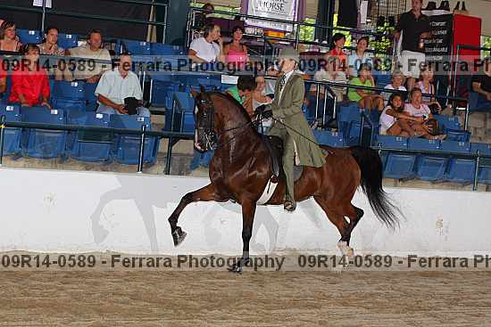 Proof 09r14-0589