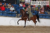 09r14-0589 proof