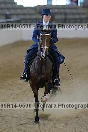 Proof 09r14-0590