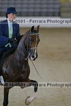 Proof 09r14-0591