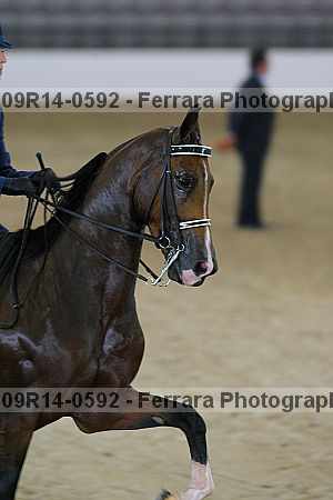 Proof 09r14-0592