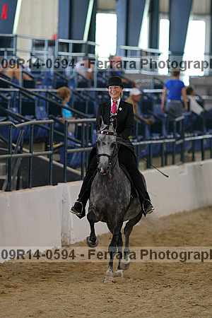 Proof 09r14-0594