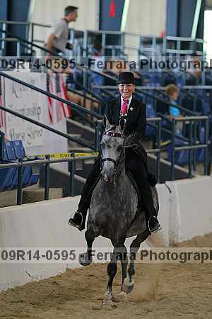 Proof 09r14-0595