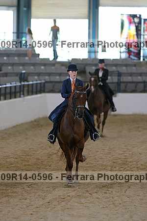 Proof 09r14-0596