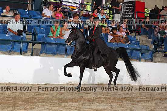 Proof 09r14-0597