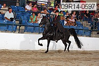 09r14-0597 proof