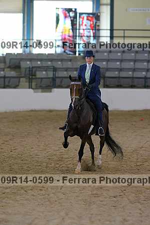 Proof 09r14-0599