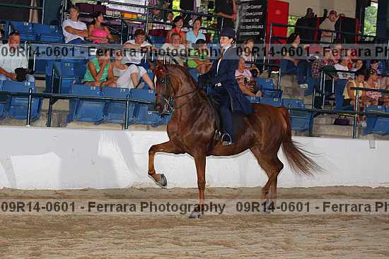 Proof 09r14-0601
