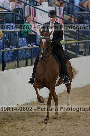 Proof 09r14-0602