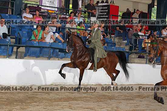 Proof 09r14-0605