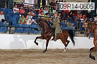 09r14-0605 proof