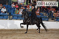 09r14-0606 proof