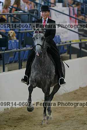 Proof 09r14-0607