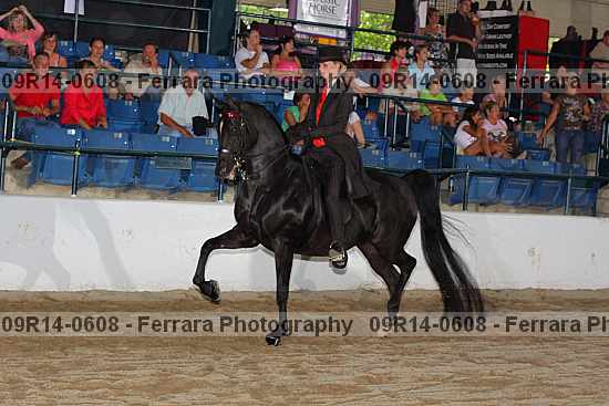 Proof 09r14-0608