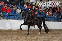 09r14-0608 proof