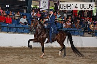 09r14-0609 proof