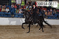 09r14-0611 proof