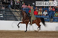 09r14-0612 proof