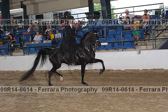 Proof 09r14-0614