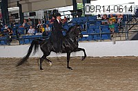 09r14-0614 proof