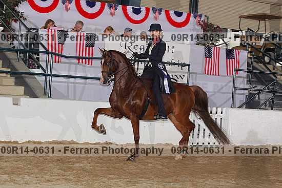 Proof 09r14-0631