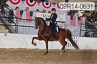 09r14-0631 proof