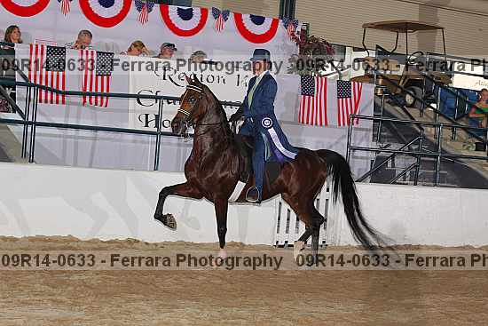 Proof 09r14-0633