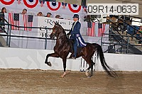 09r14-0633 proof