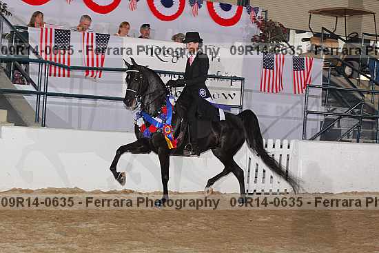 Proof 09r14-0635