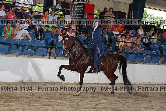 Proof 09r14-3194