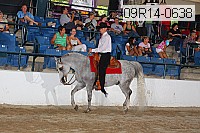 09r14-0638 proof