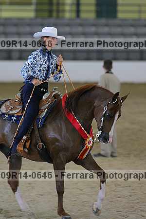 Proof 09r14-0646