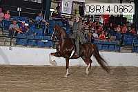 09r14-0662 proof
