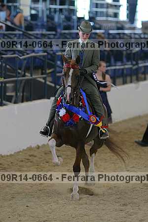 Proof 09r14-0664
