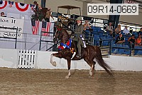 09r14-0669 proof