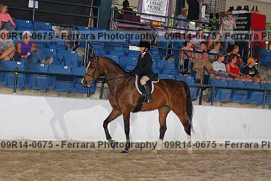 Proof 09r14-0675