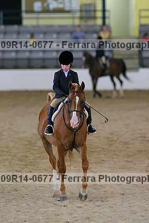 Proof 09r14-0677