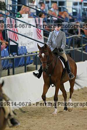 Proof 09r14-0678