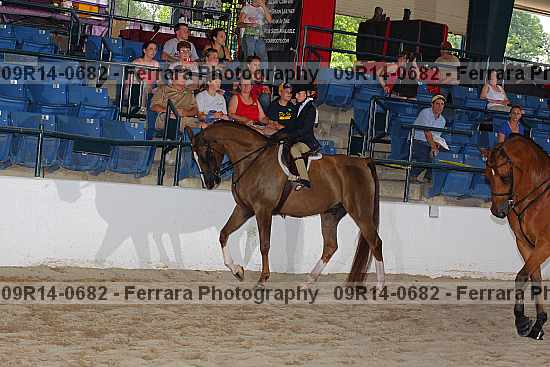 Proof 09r14-0682