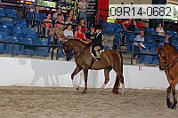 09r14-0682 proof