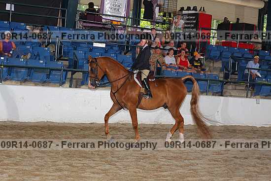 Proof 09r14-0687