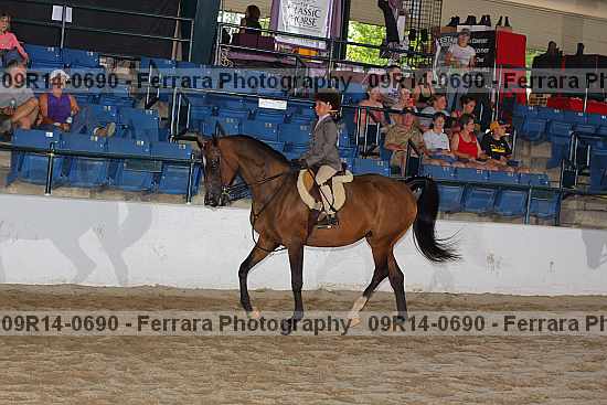 Proof 09r14-0690