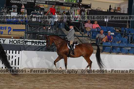 Proof 09r14-0691
